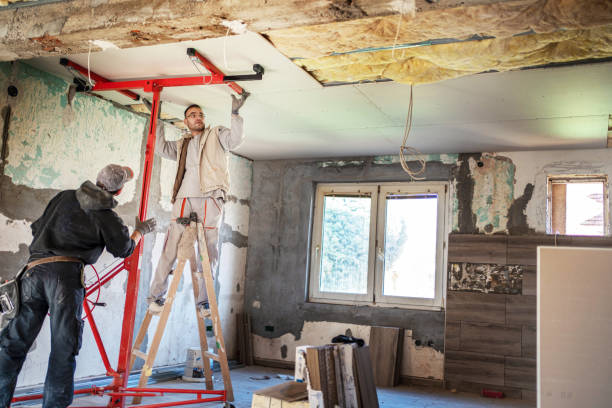 Best Insulation Removal  in Haskell, AR