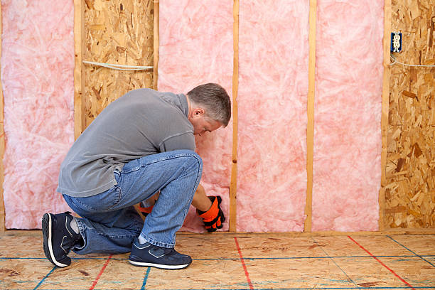 Best Best Insulation Companies  in Haskell, AR