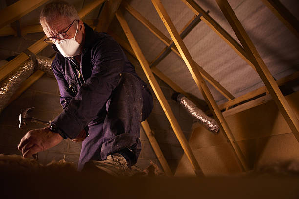 Best Insulation Contractor Near Me  in Haskell, AR